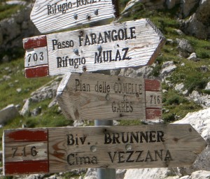 signposts